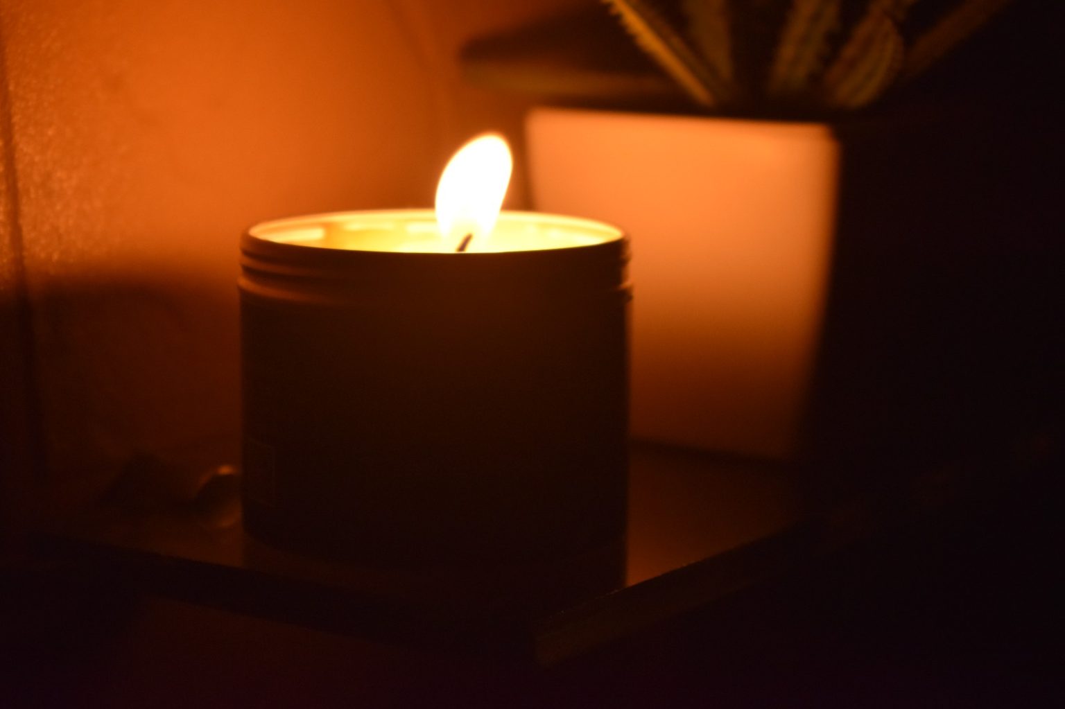 WhatsApp Image 2024-08-20 at 05.31.40 (2)